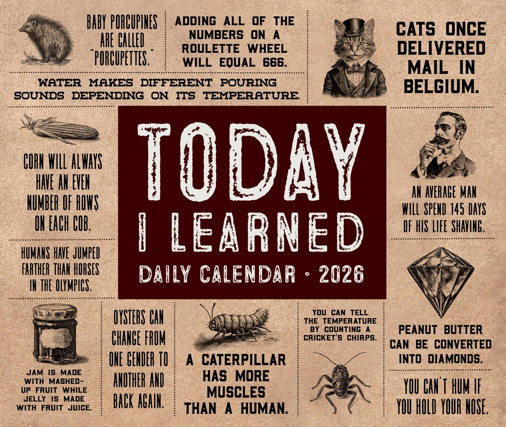 Image of the 2026 Daily Box Calendar featuring random trivia and interesting facts.