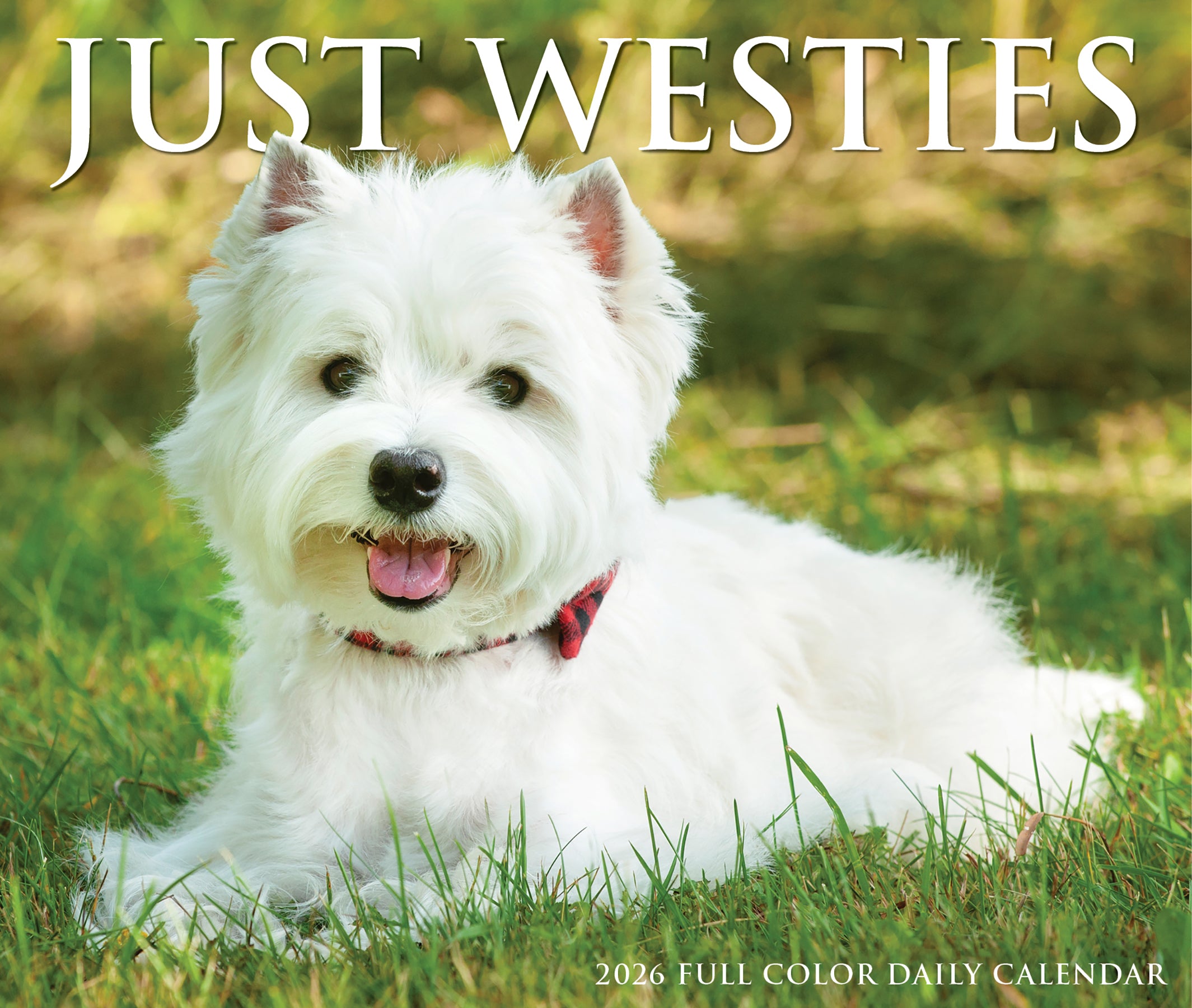 2026 Daily Box Calendar featuring a fluffy West Highland White Terrier smiling in a sunny outdoor setting.