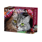 What Cats Teach Us 2026 6.2" x 5.4" Box Calendar displaying a cat surrounded by colorful yarn.