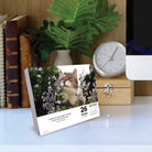 What Cats Teach Us 2026 6.2" x 5.4" Box Calendar featuring a cat among flowers on January 26