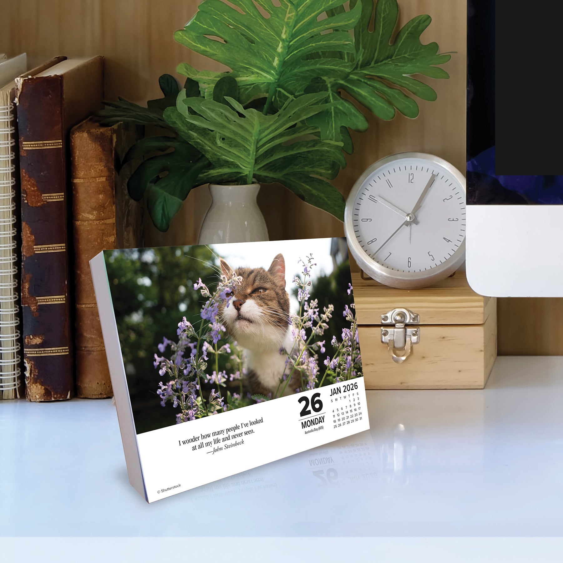 What Cats Teach Us 2026 6.2" x 5.4" Box Calendar featuring a cat among flowers on January 26