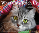 What Cats Teach Us 2026 6.2" x 5.4" Box Calendar cover featuring a close-up of a cat's face with vibrant colors.