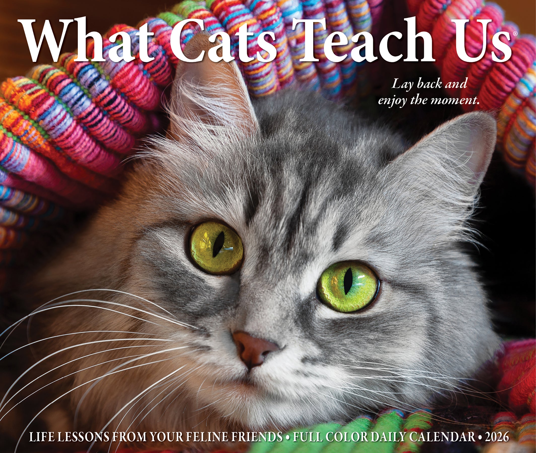 What Cats Teach Us 2026 6.2" x 5.4" Box Calendar cover featuring a close-up of a cat's face with vibrant colors.