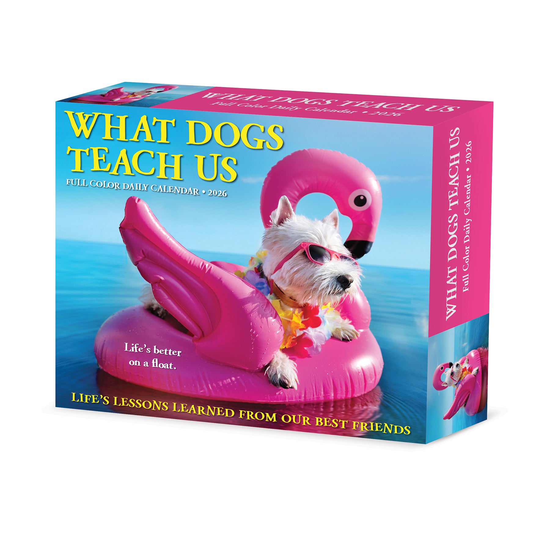 What Dogs Teach Us 2026 Daily Box Calendar with dog photos and quotes