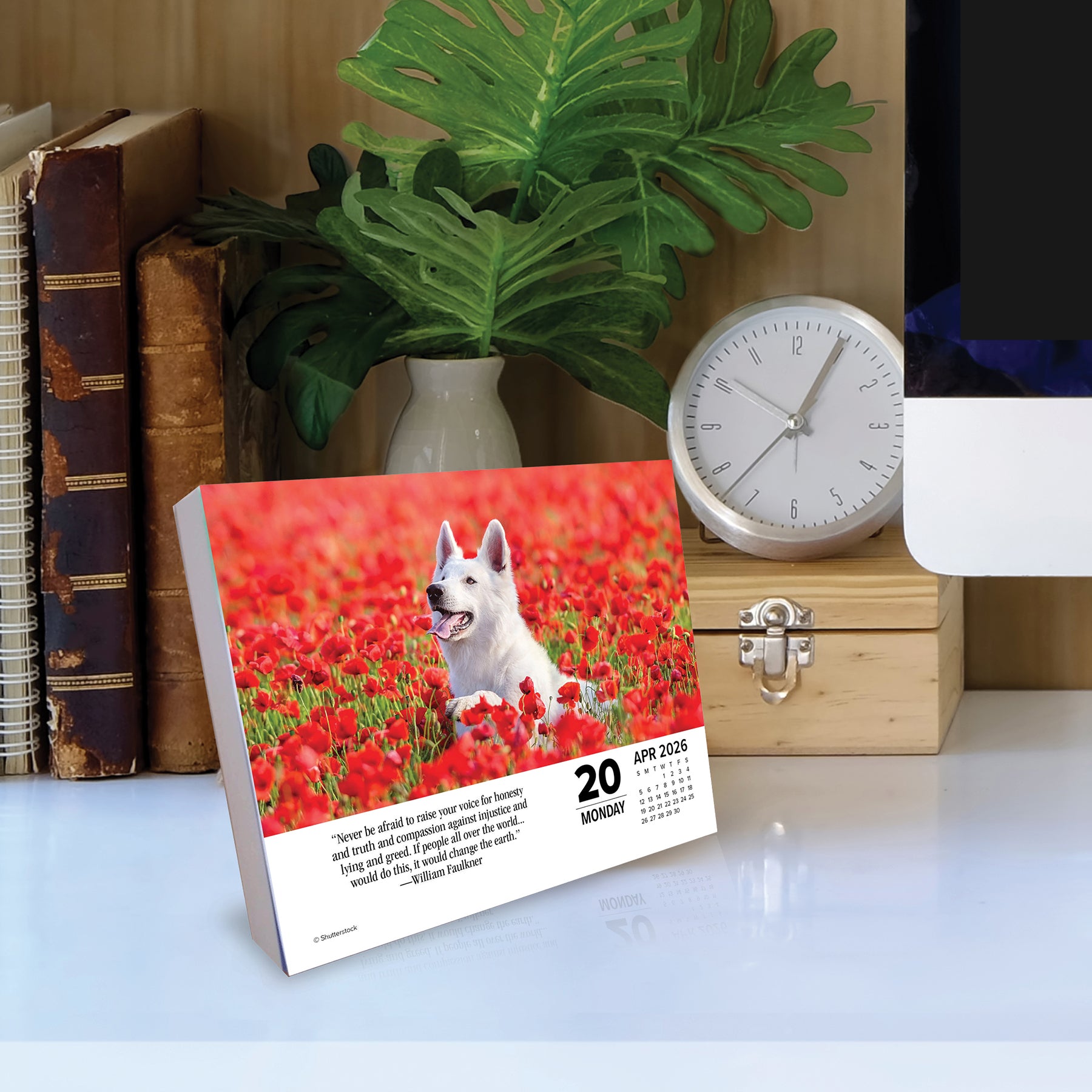 Close-up of 2026 Daily Box Calendar What Dogs Teach Us with inspirational dog saying