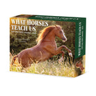 What Horses Teach Us 2026 Daily Box Calendar with inspirational horse photos”