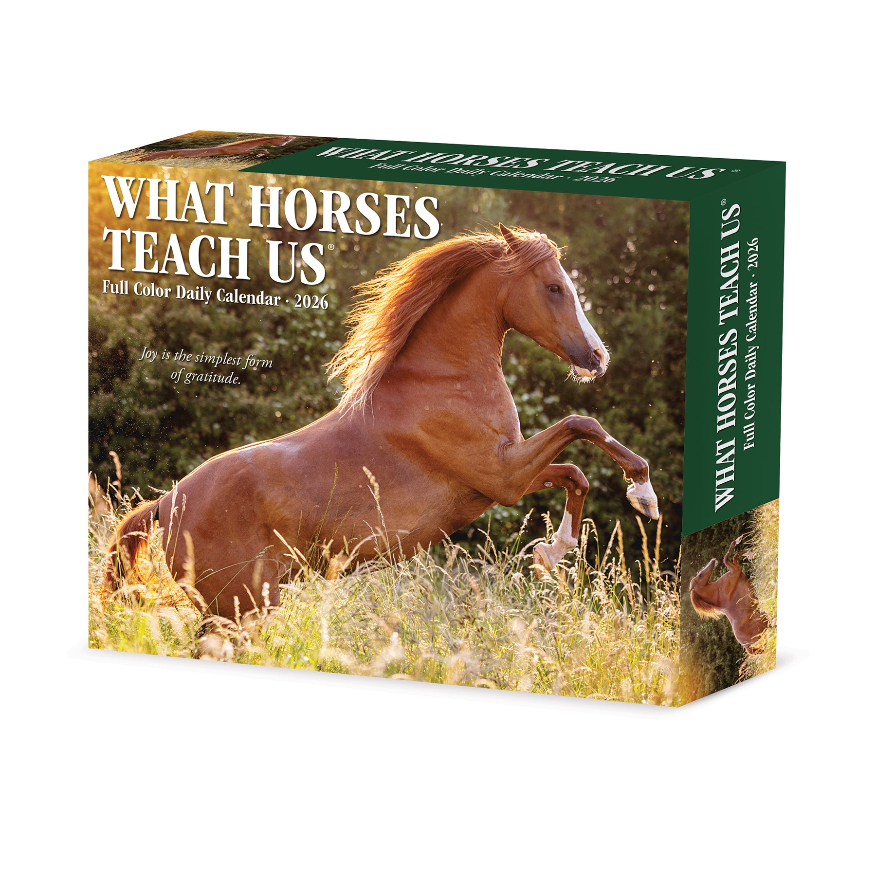 What Horses Teach Us 2026 Daily Box Calendar with inspirational horse photos”