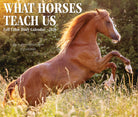 Inspirational 2026 daily box calendar featuring horses and quotes