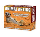 Animal Antics 2026 Daily Box Calendar with funny animal photos
