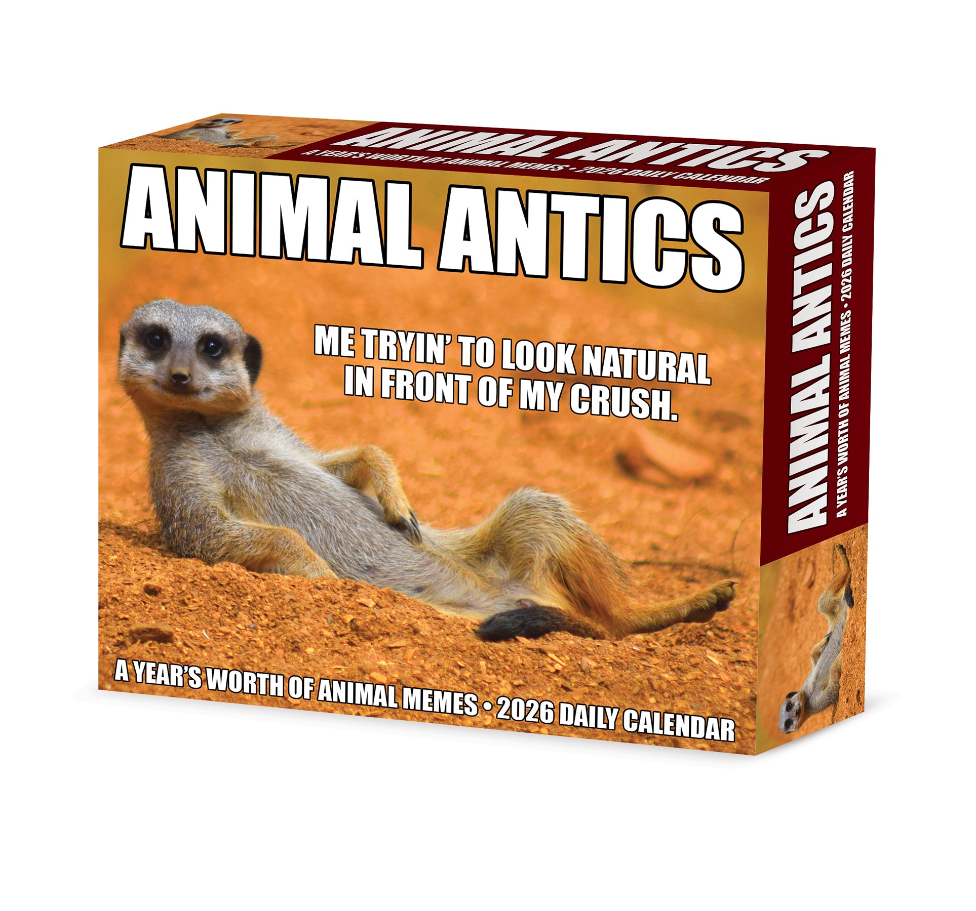 Animal Antics 2026 Daily Box Calendar with funny animal photos