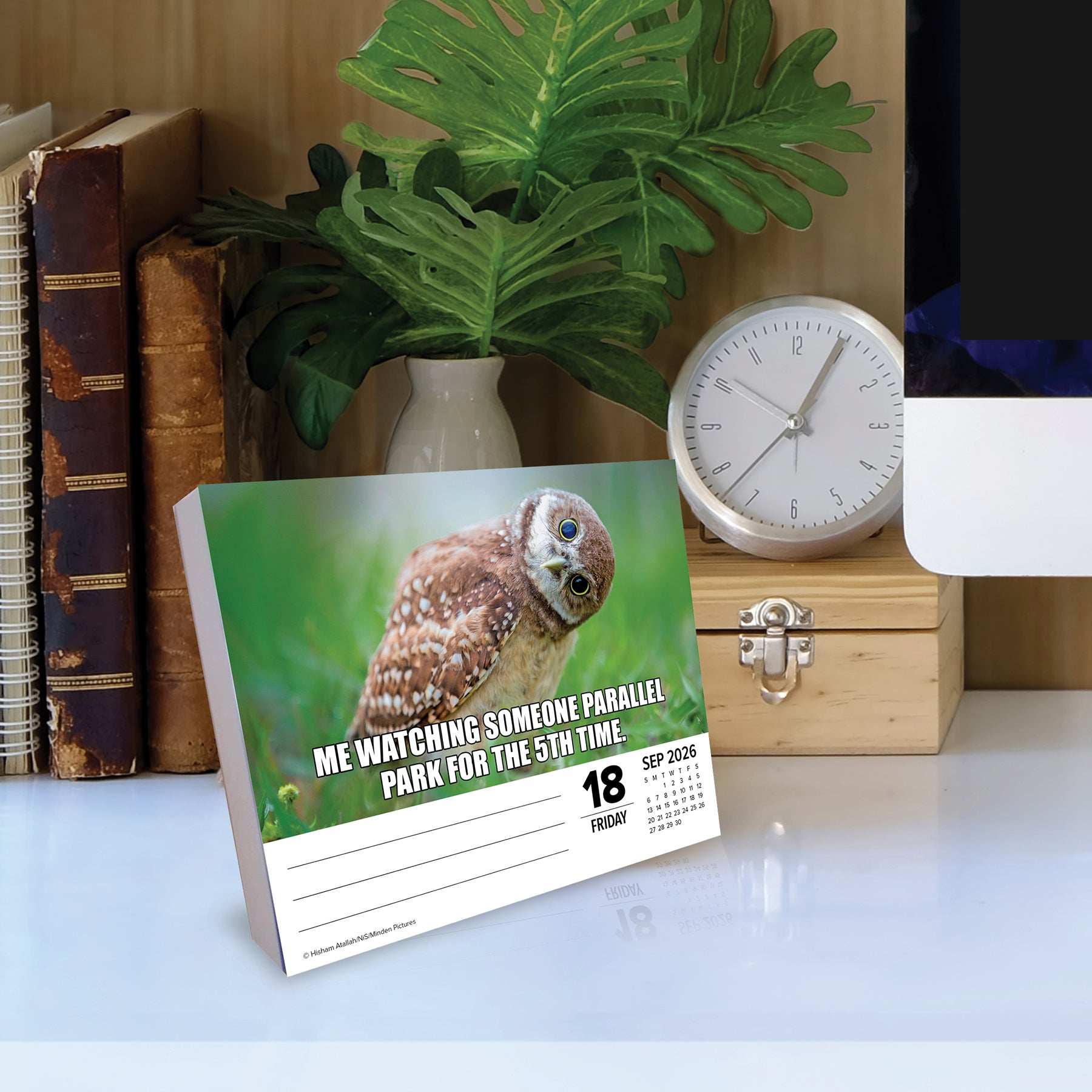 Funny and inspiring daily box calendar gift for friends or coworkers