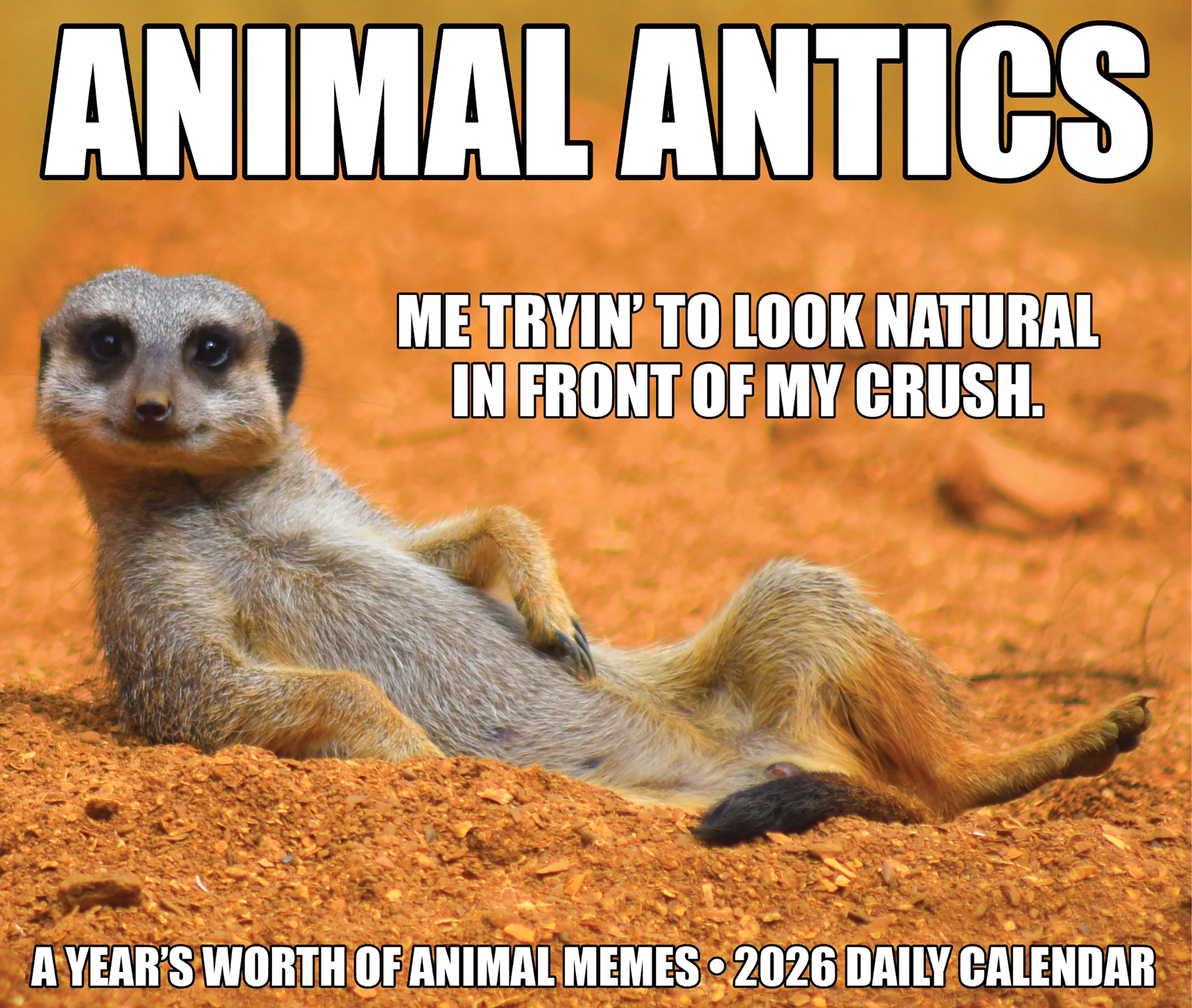 Meerkat posing humorously for the 2026 Daily Box Calendar, showcasing animal antics and memes.