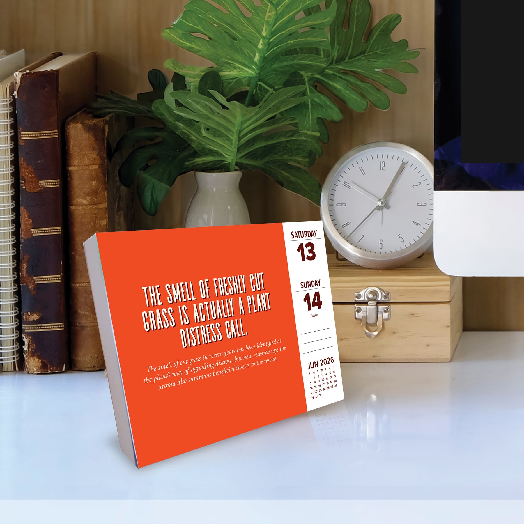 2026 Daily Box Calendar displaying fun fact about grass on a desk with books and a clock in the background.