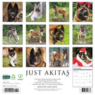 Dog lovers’ 2026 Wall Calendar – Akitas edition with cute canine images