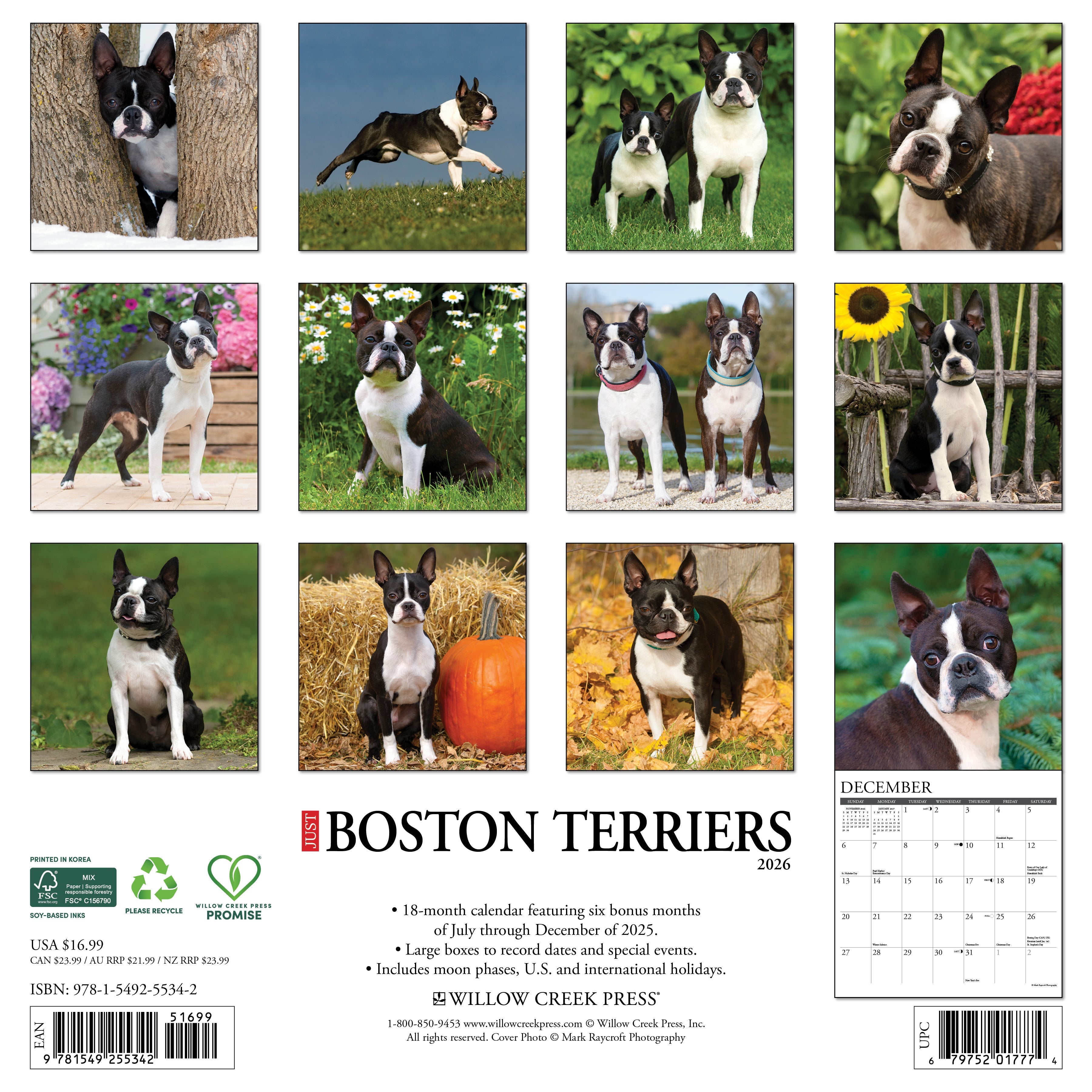 Dog lovers’ 2026 Wall Calendar – Boston Terriers edition with playful and loyal dogs