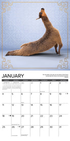 wall calendar 2026 for keeping track of important dates