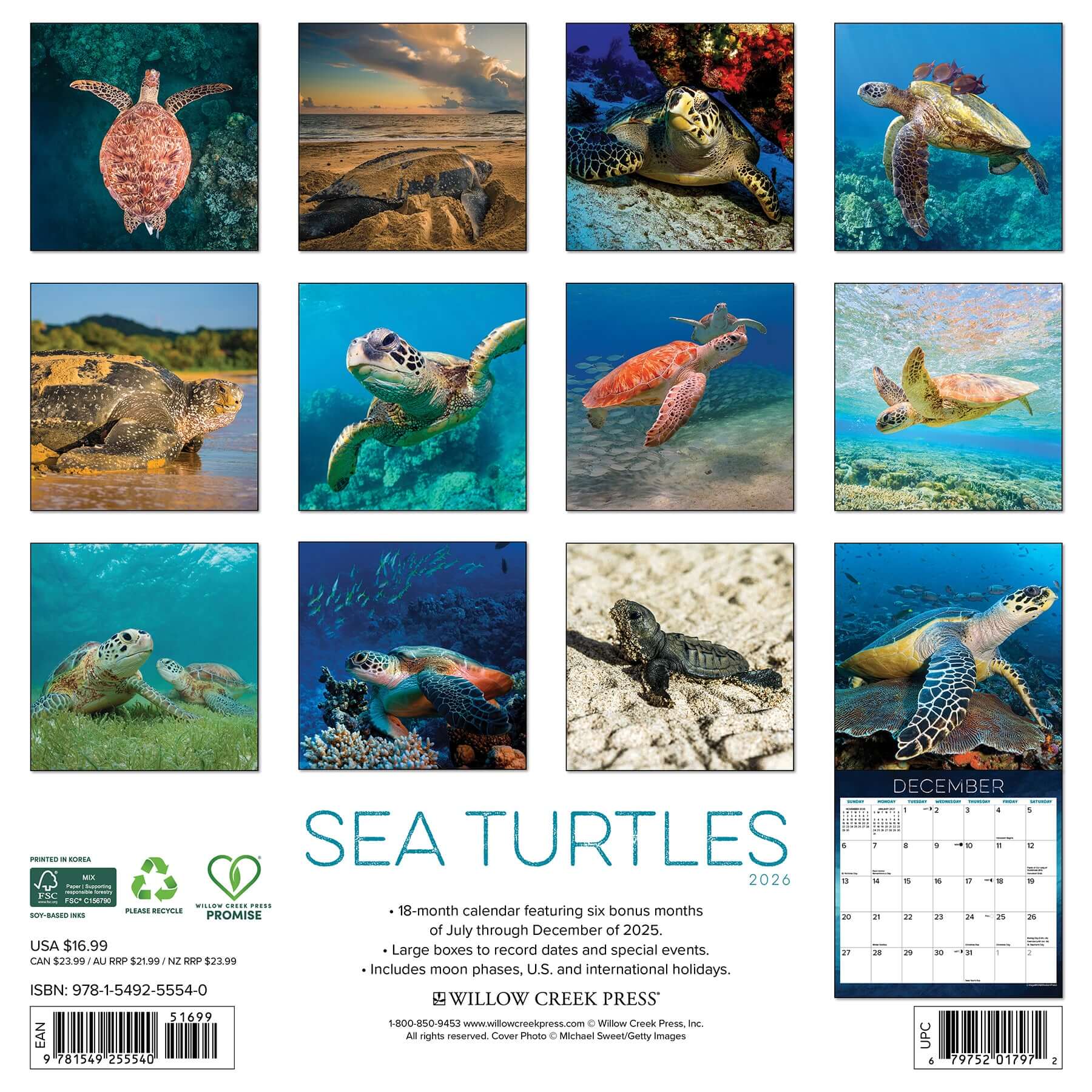 2026 Sea Turtles wall calendar showcasing vibrant images of sea turtles in various underwater settings.