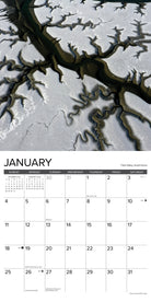 2026 Wall Calendar with large monthly date boxes, decorative images, and holidays, perfect for office or home organization and yearly planning