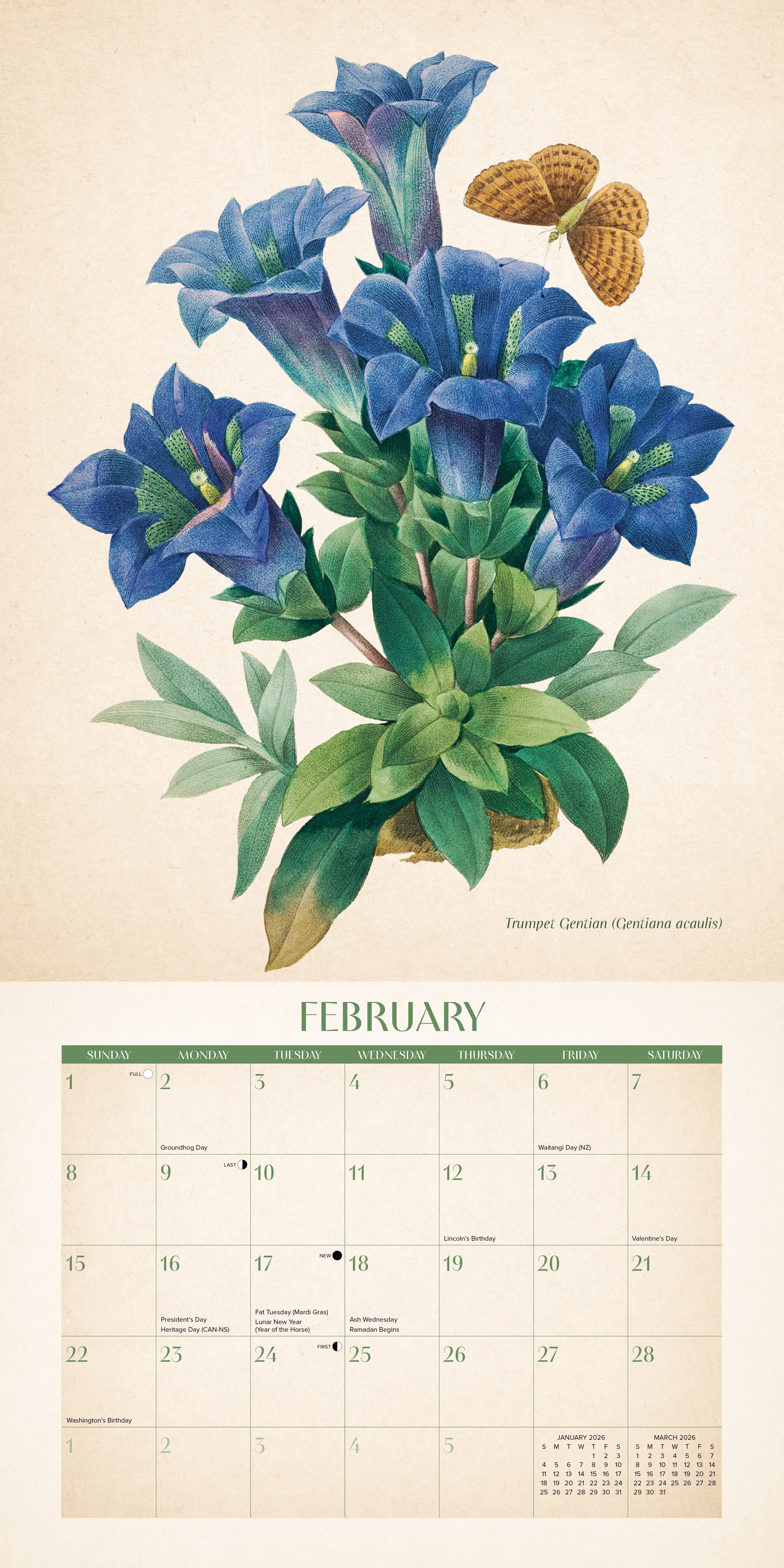 2026 Wall Calendar with large monthly date boxes, decorative images, and holidays, perfect for office or home organization and yearly planning