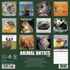 Cute animal-themed 2026 Wall Calendar – Animal Antics edition with fun animal images
