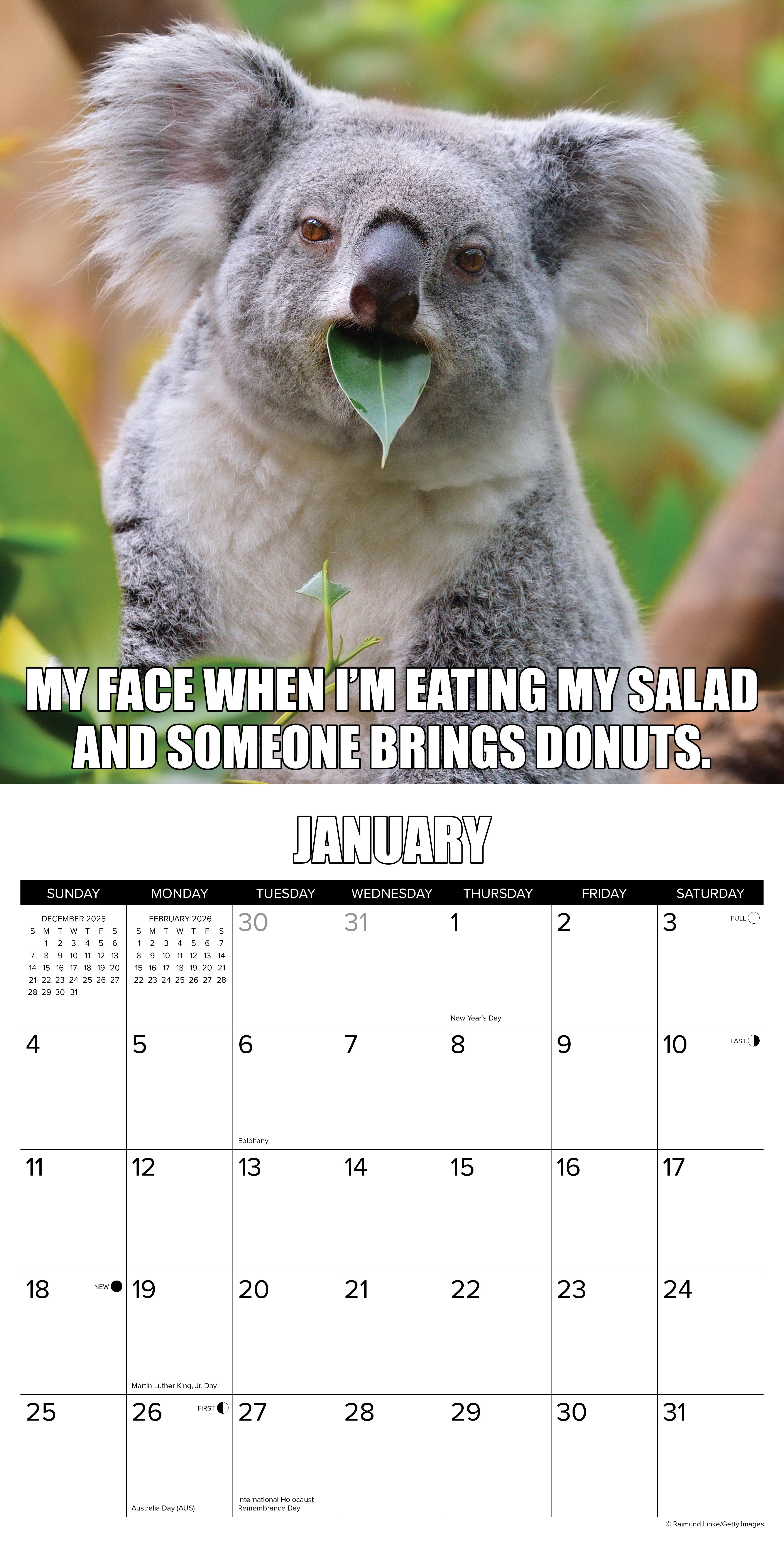 2026 Wall Calendar with large monthly date boxes, decorative images, and holidays, perfect for office or home organization and yearly planning