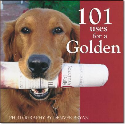 101 Uses For A Golden Book