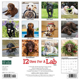 12 Uses for a Lab 2024 12" x 12" Wall Calendar