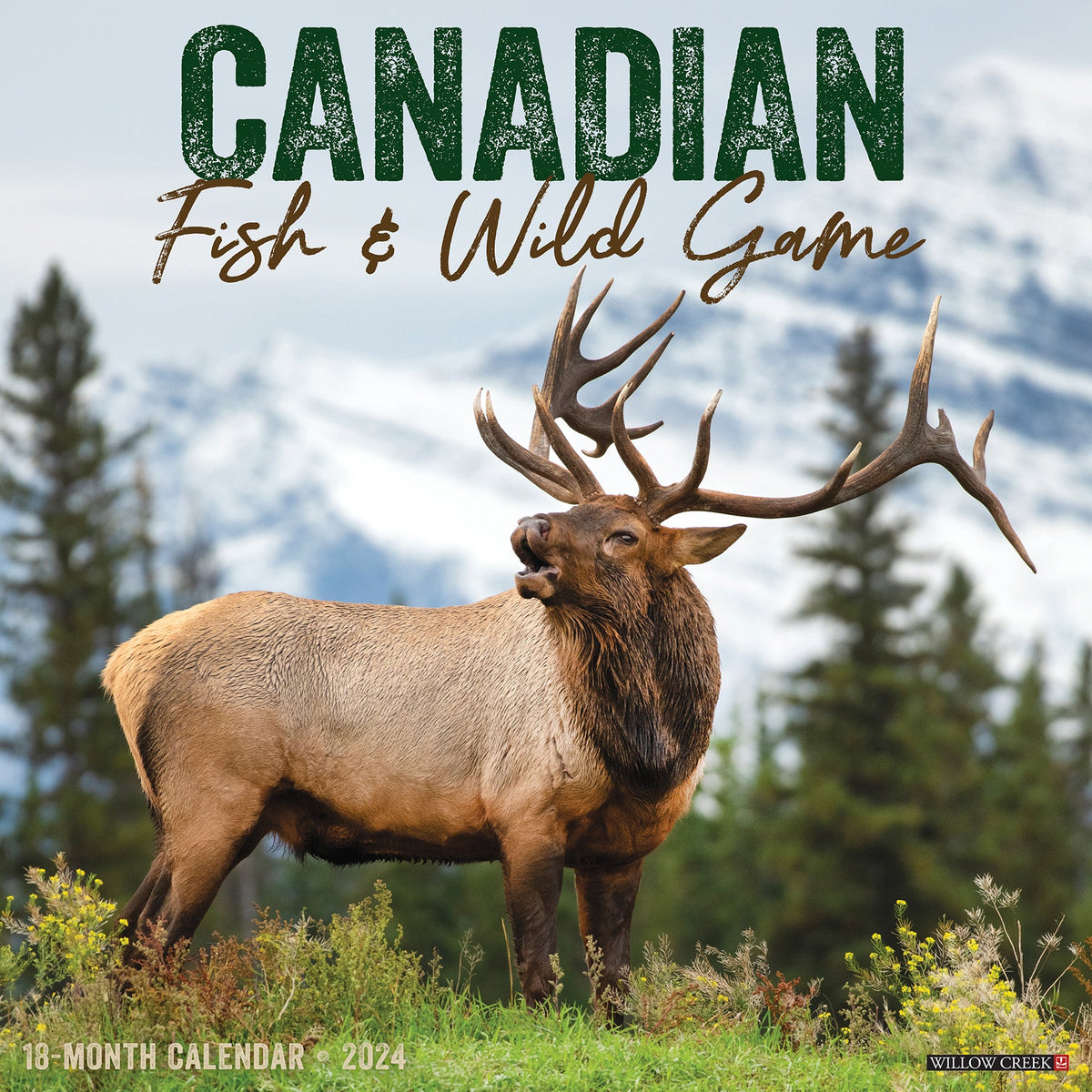 Canadian Fish & Wild Game 2024 Wall Calendar (Wildlife) – Willow Creek Press