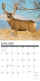 Mule Deer 2024 12" x 12" Wall Calendar