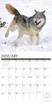 Spirit of the Wolf 2024 12" x 12" Wall Calendar