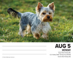 Yorkies 2024 6.2" x 5.4" Box Calendar