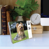 Yorkies 2024 6.2" x 5.4" Box Calendar