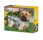 Yorkies 2024 6.2" x 5.4" Box Calendar
