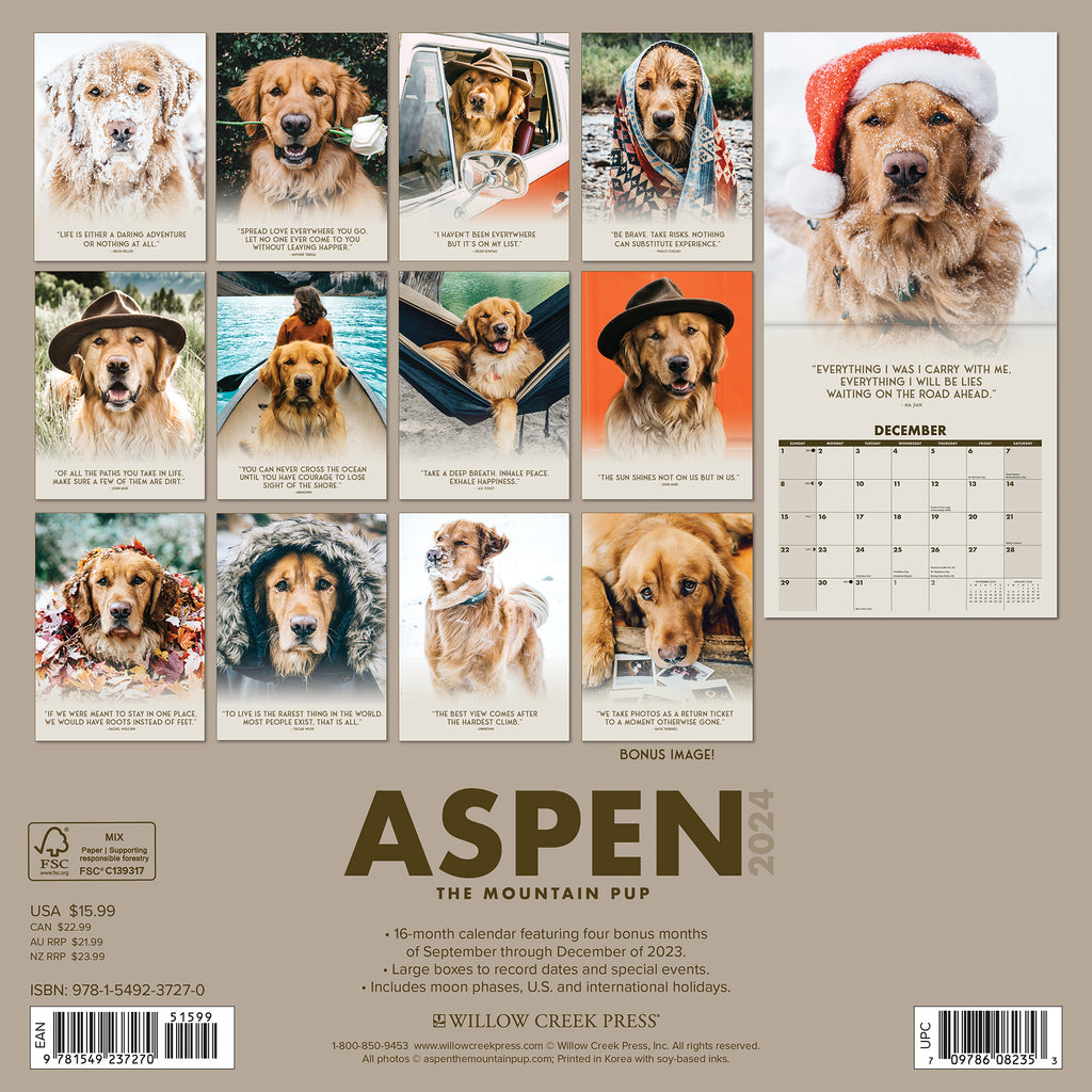 Aspen the Mountain Pup 2024 Wall Calendar Willow Creek Press