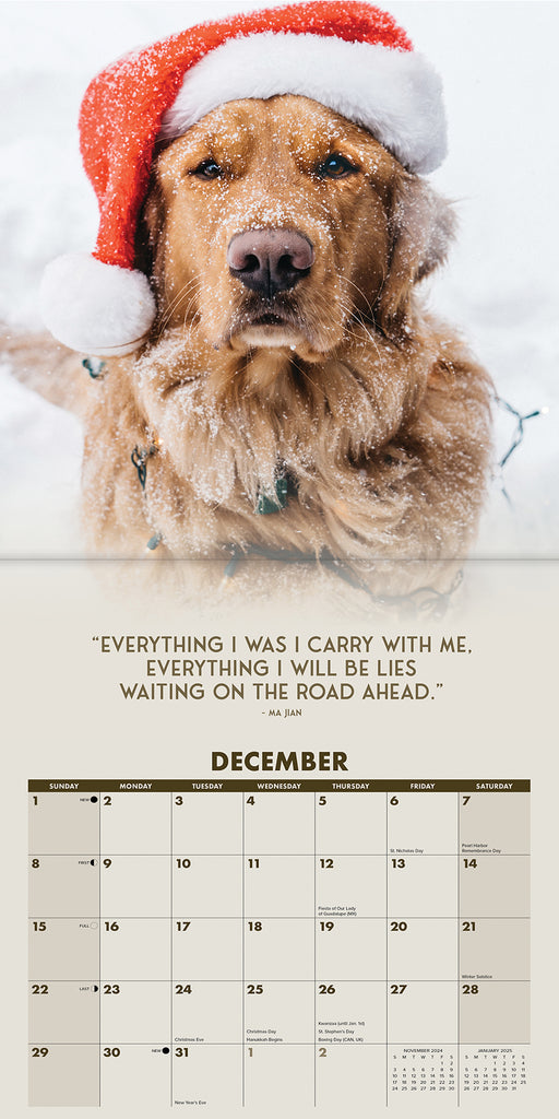 Aspen the Mountain Pup 2024 Wall Calendar Willow Creek Press