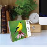 Backyard Birds 2024 6.2" x 5.4" Box Calendar