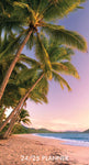 Paradise 2024 3.5" x 6.5" 2-Year Pocket Planner