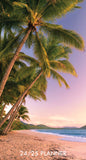 Paradise 2024 3.5" x 6.5" 2-Year Pocket Planner