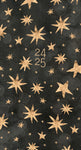 Starry Night 2024 3.5" x 6.5" 2-Year Pocket Planner