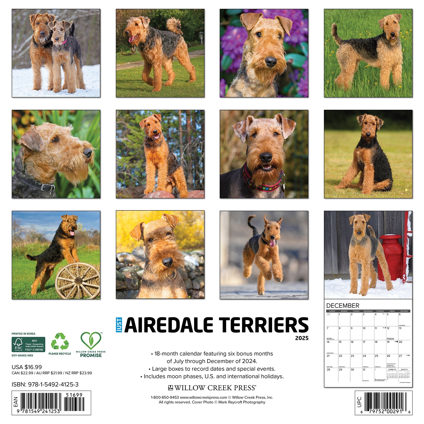 Airedale Terriers 2025 Wall Calendar Willow Creek Press
