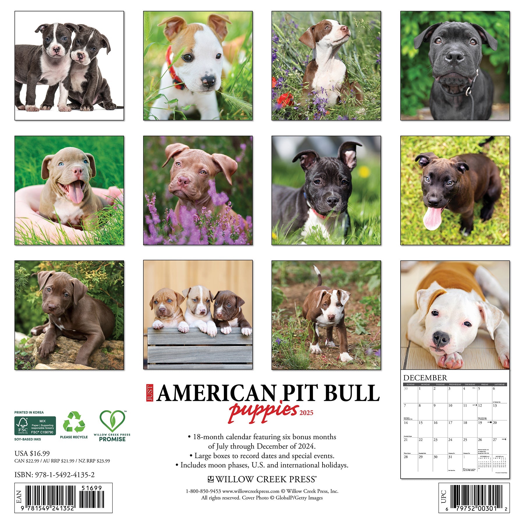 高い信頼 厚い信頼 American Pit Bull Terrier Puppies 2025 Wall Calendar ペット