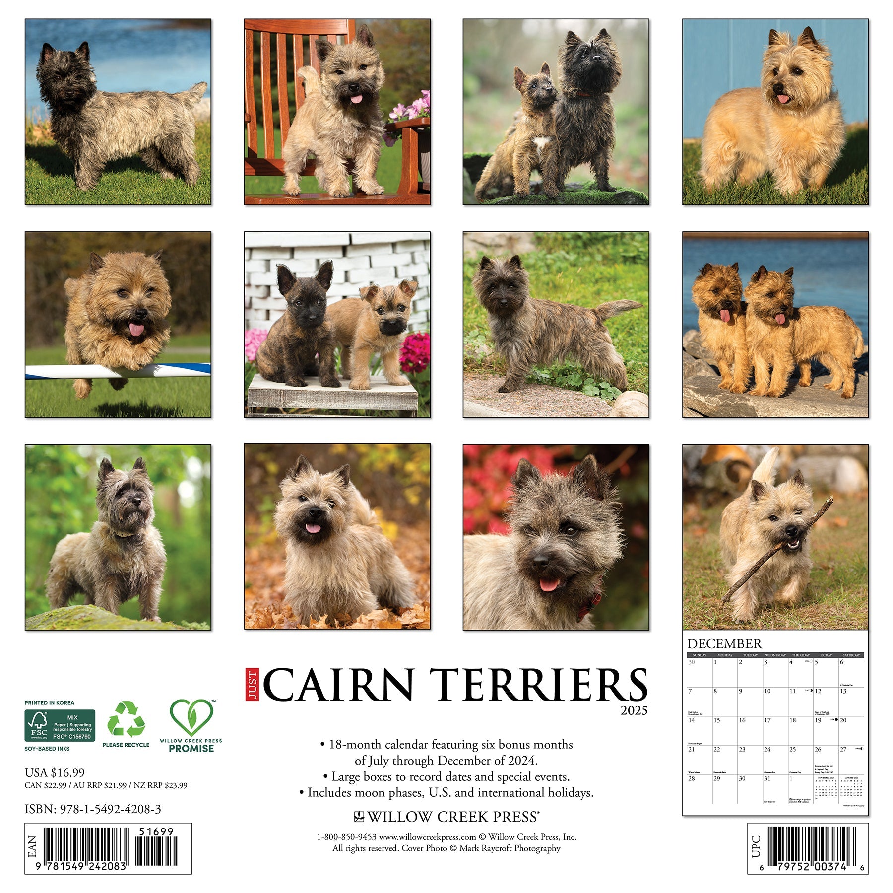 Cairn Terriers 2025 Wall Calendar – Willow Creek Press