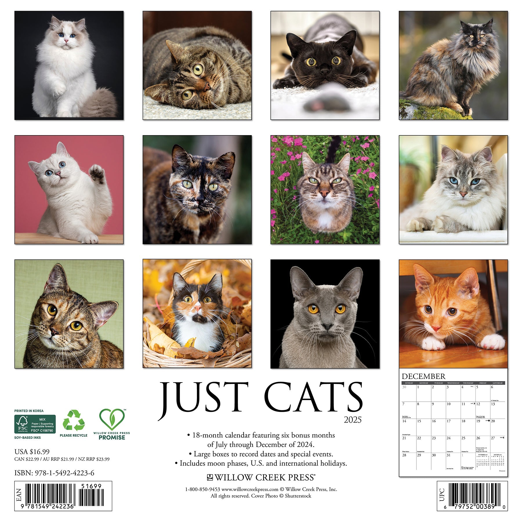 2025 Willow Creek Press Monthly Wall Calendar 12 x 12