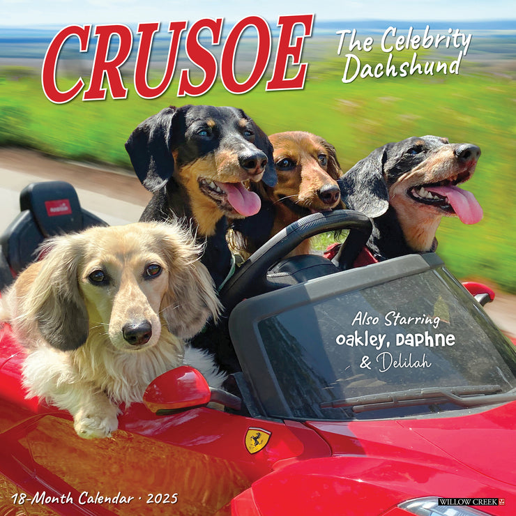 Calendars 2025 Willow Creek Press Lacey Christabella