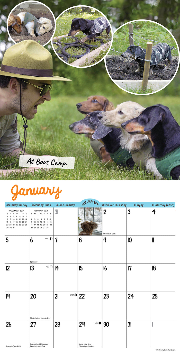 Calendars 2025 Willow Creek Press 2025 Fleur Leland