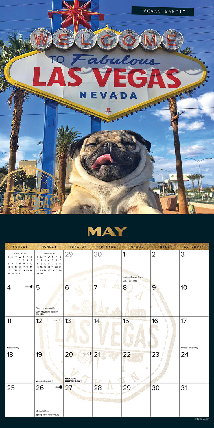 2025 Wall Calendars Willow Creek Press