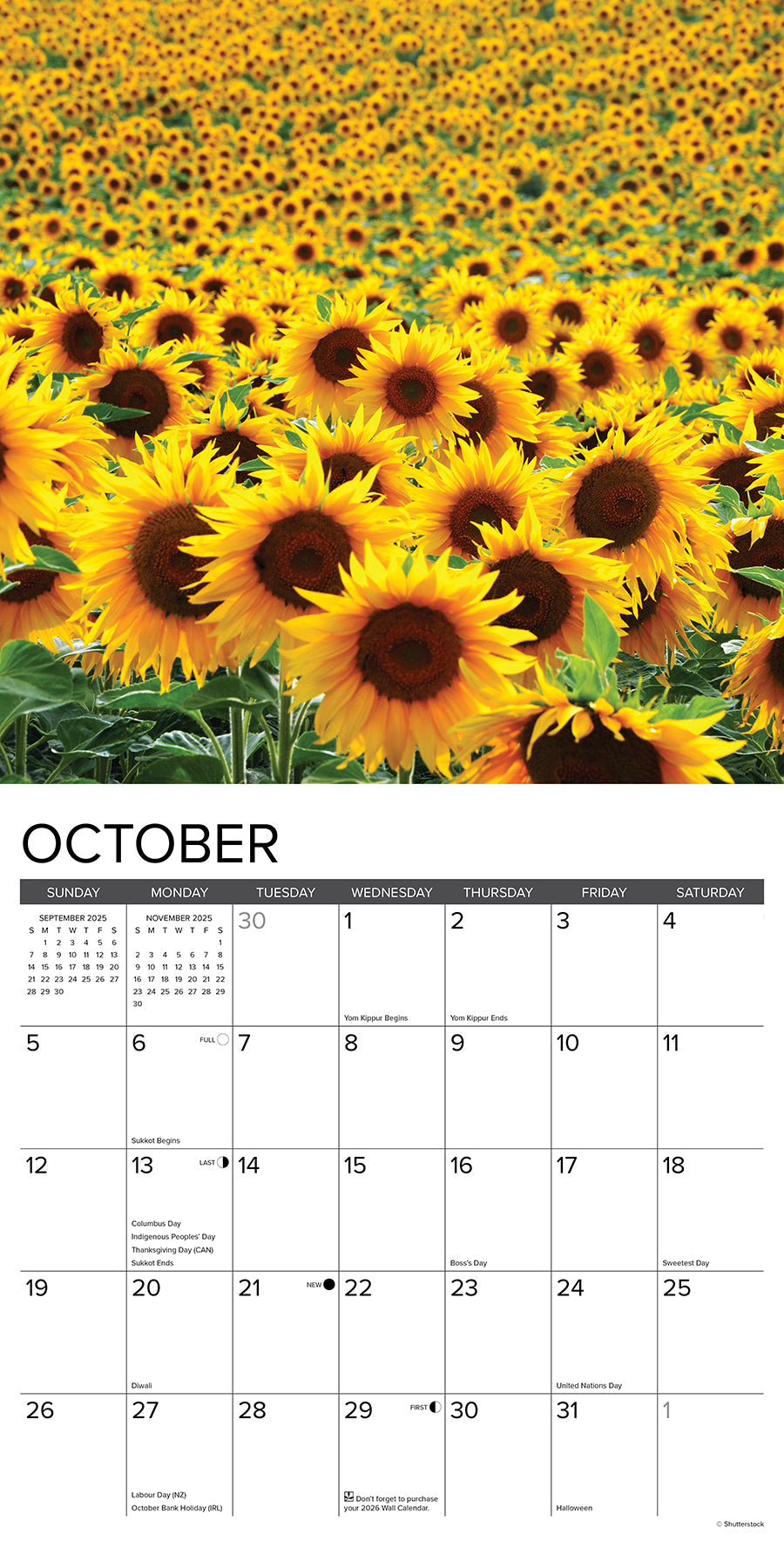 Sunflowers 2025 Wall Calendar – Willow Creek Press sunflowers-2025-wall-calendar-willow-creek-press