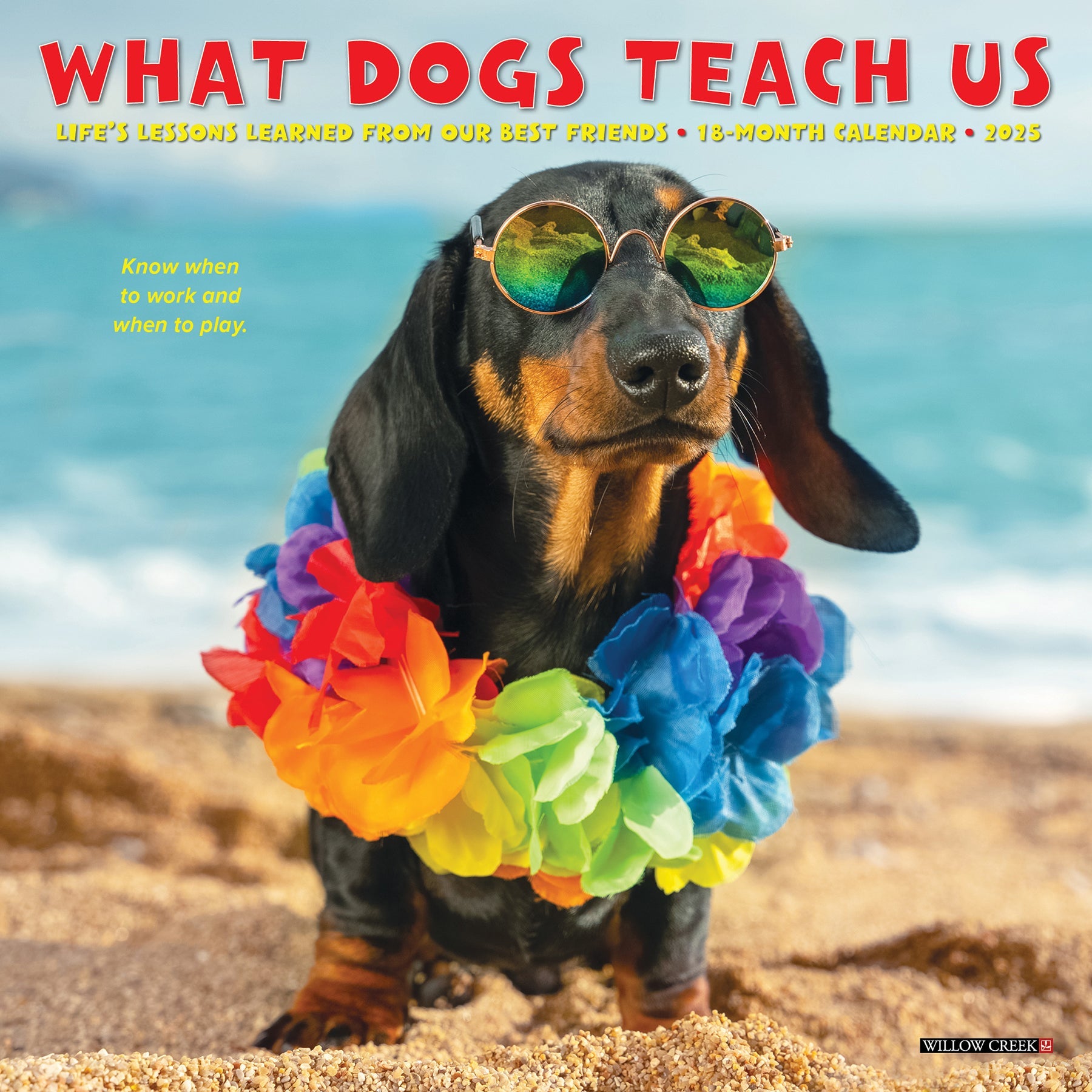 Dachshund Wall Calendar 2025 Pdf