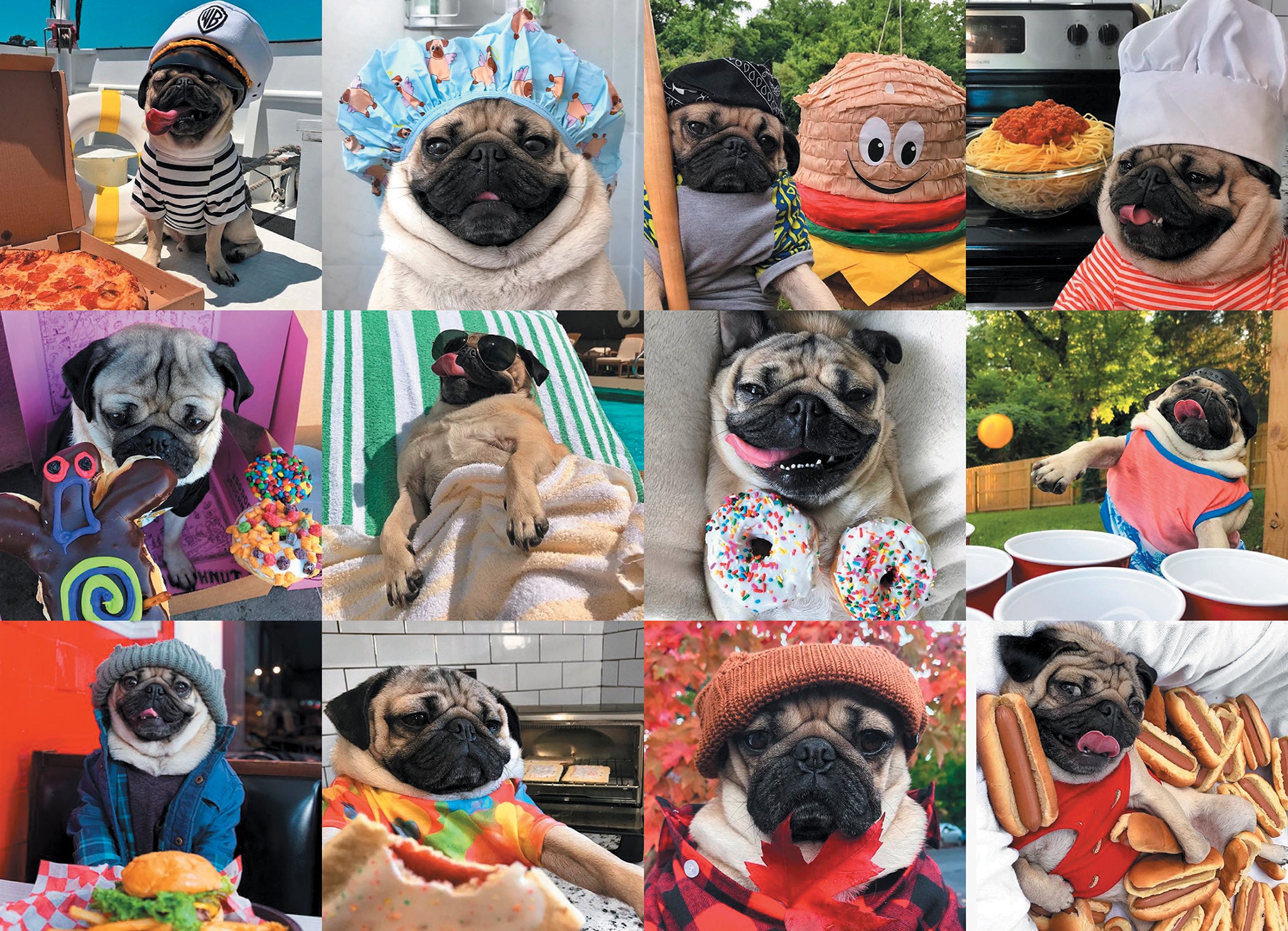 Doug the Pug: Pug Life 1000-Piece Puzzle – Willow Creek Press