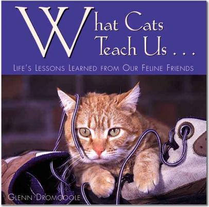 What Cats Teach Us® Book